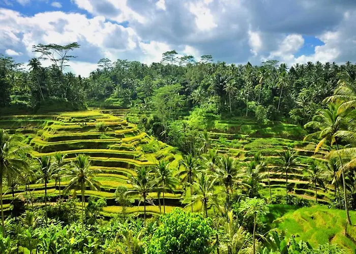 Santai (adults Only)